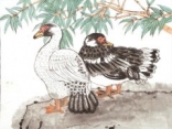 о 10q W(xu)