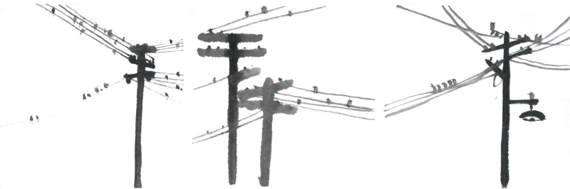 W(xu)TƷbp