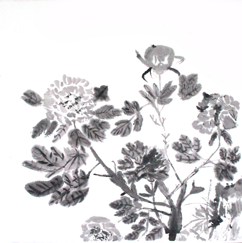 W(xu)TƷbp